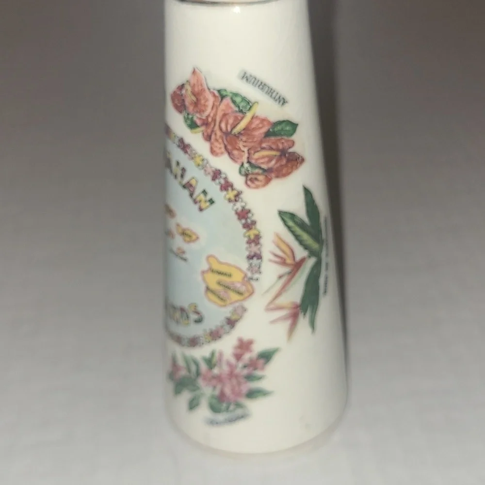 Salt & Pepper Shaker Hawaiian Souvenir purchased 1966 Ceramic Vintage